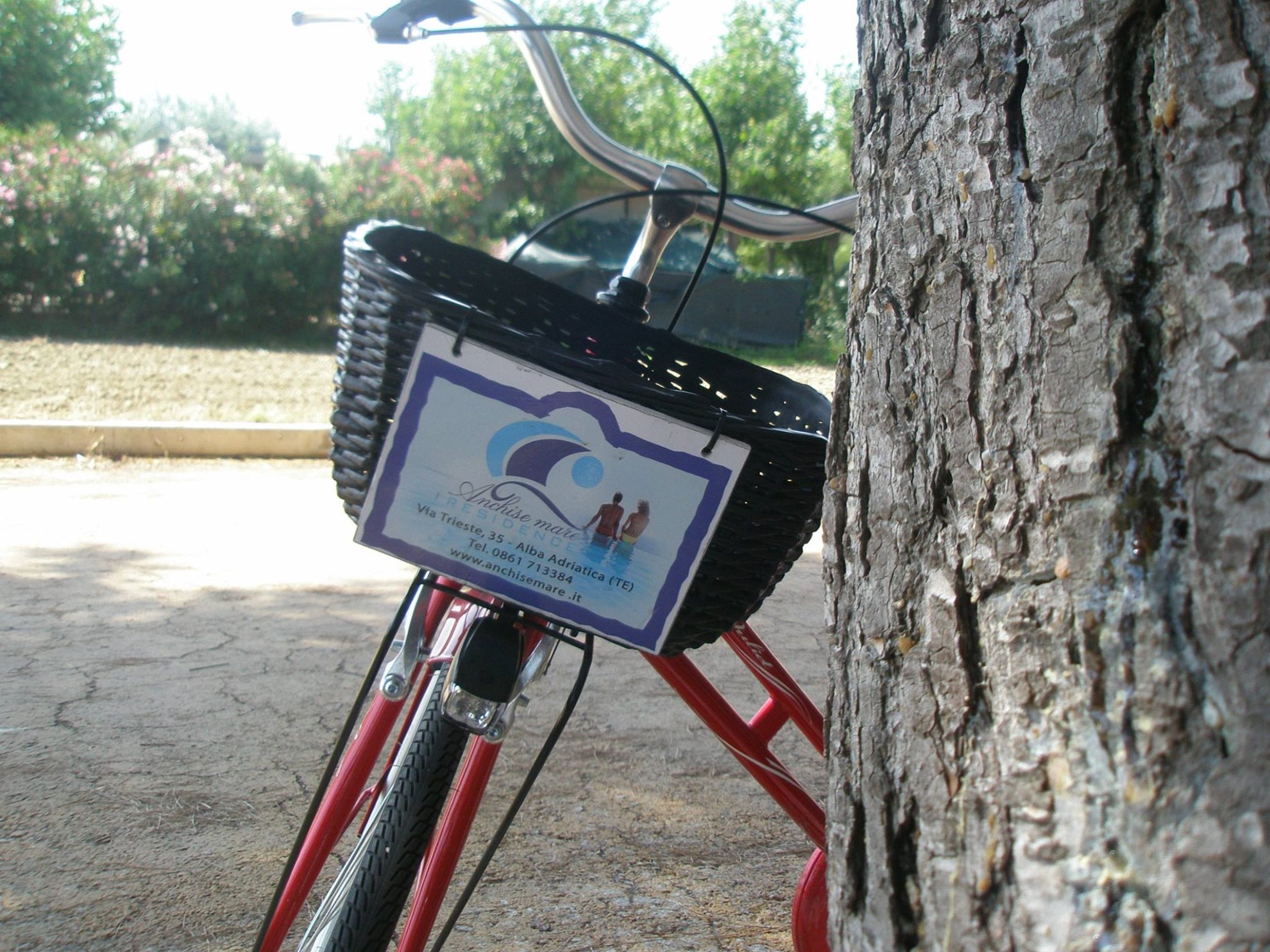 biciclette alba adriatica